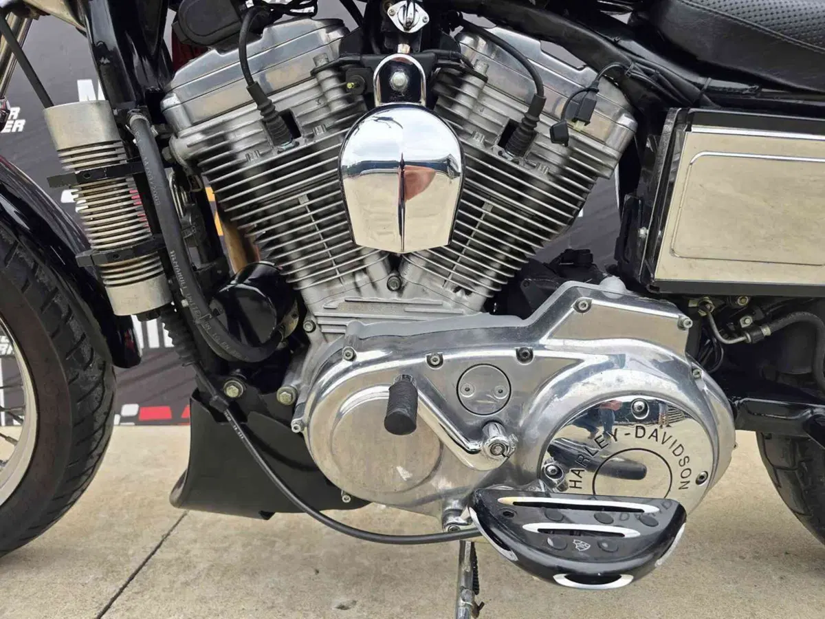 Harley-Davidson 883 Standard (2001 - 05) - XL 883 (7)