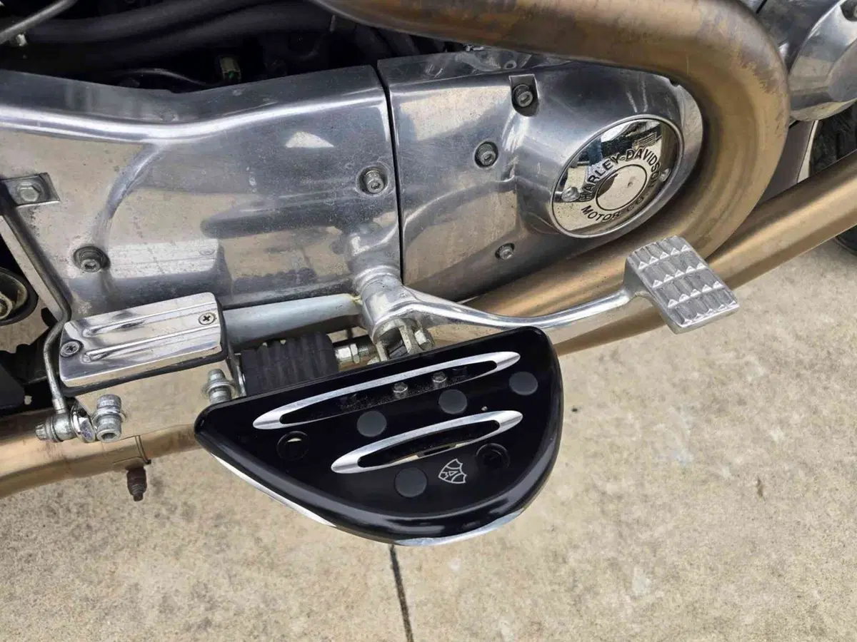 Harley-Davidson 883 Standard (2001 - 05) - XL 883 (23)