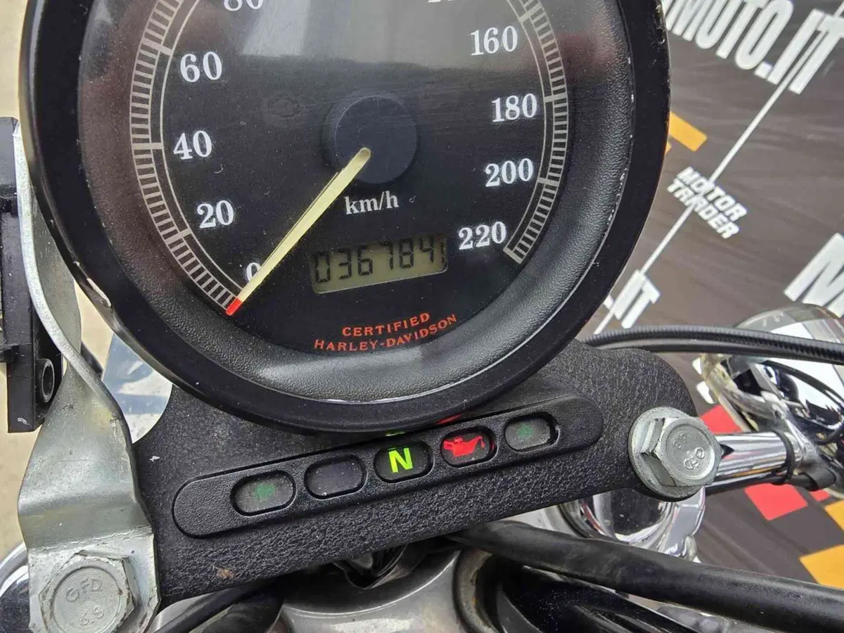 Harley-Davidson 883 Standard (2001 - 05) - XL 883 (31)