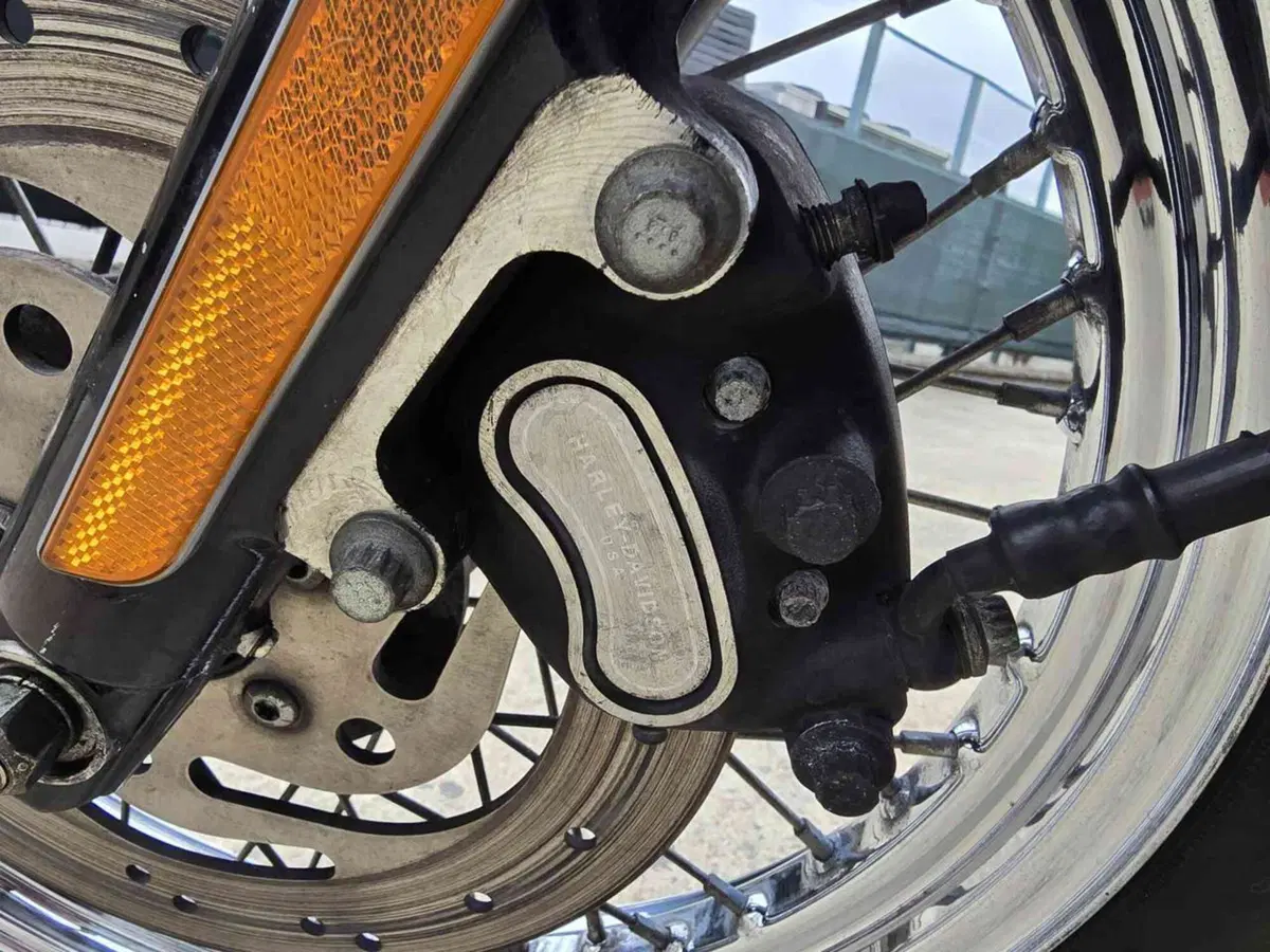 Harley-Davidson 883 Standard (2001 - 05) - XL 883 (38)