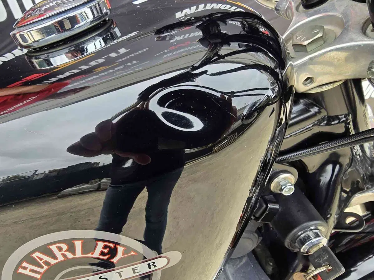 Harley-Davidson 883 Standard (2001 - 05) - XL 883 (16)