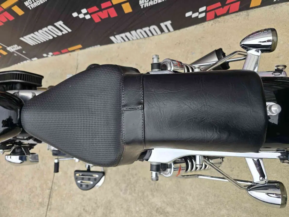 Harley-Davidson 883 Standard (2001 - 05) - XL 883 (32)