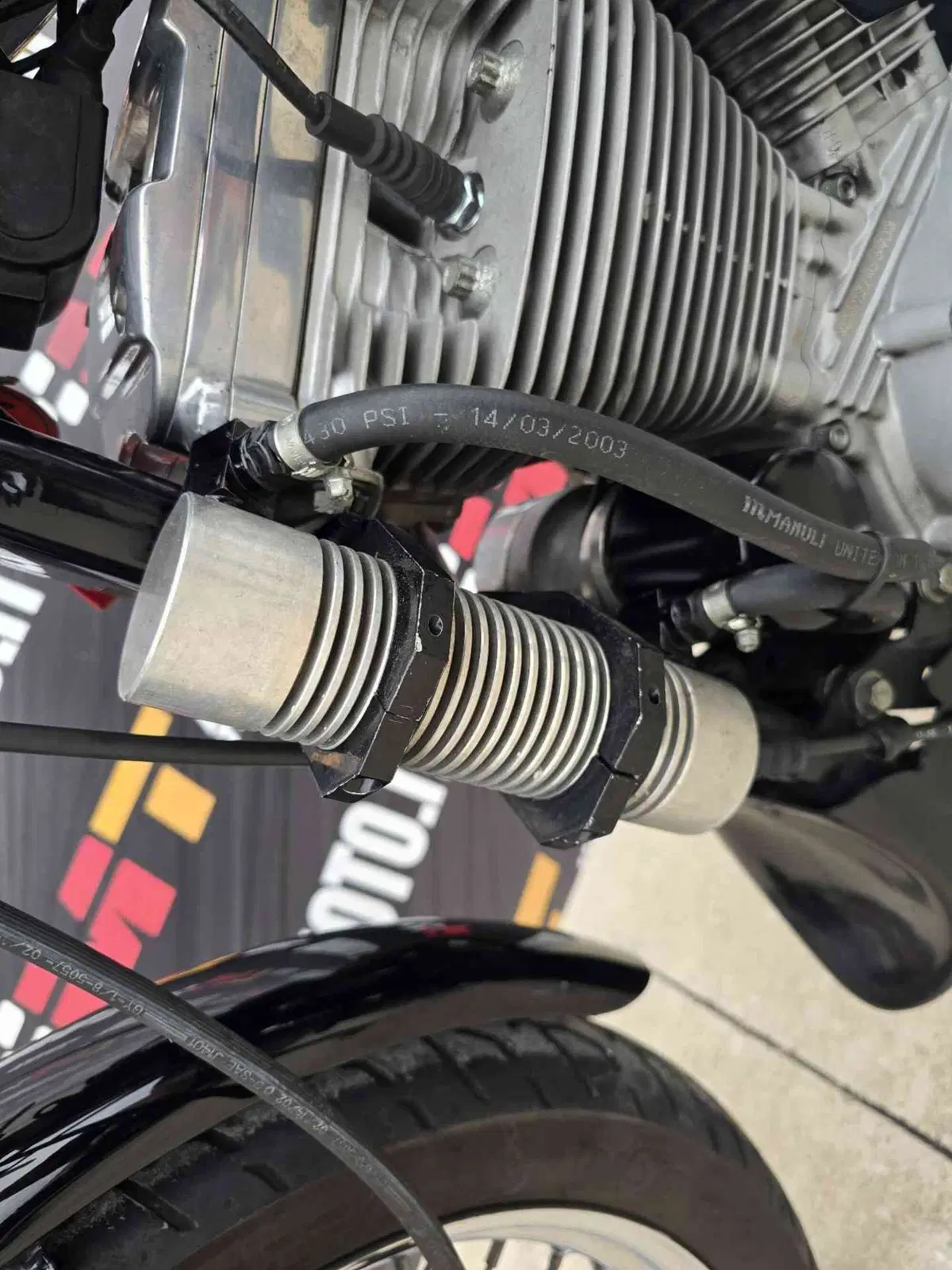 Harley-Davidson 883 Standard (2001 - 05) - XL 883 (40)