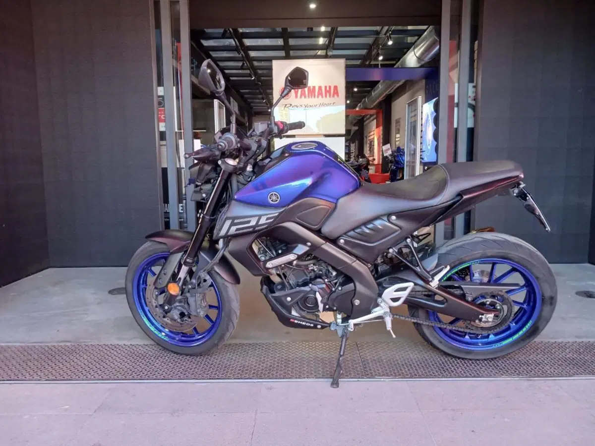 Yamaha MT-125 ABS (2020) (2)