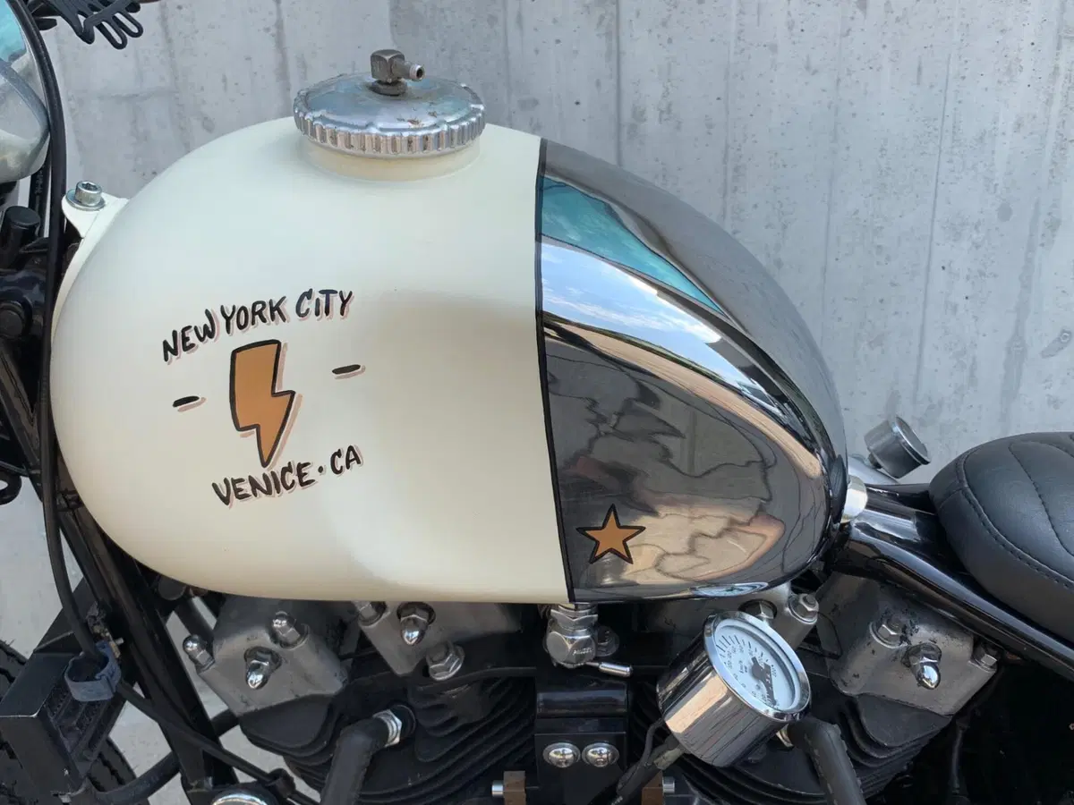 Harley-Davidson FXSB (Sturgis) (3)
