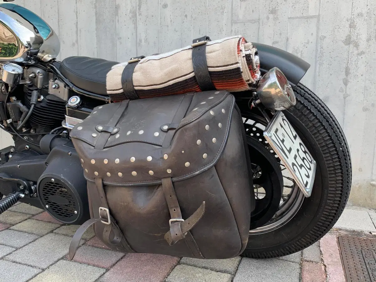 Harley-Davidson FXSB (Sturgis) (4)