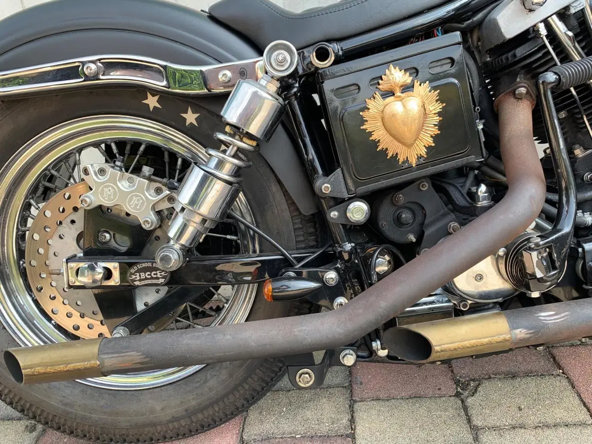 Harley-Davidson FXSB (Sturgis) (9)