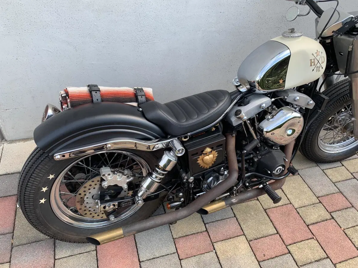 Harley-Davidson FXSB (Sturgis) (20)