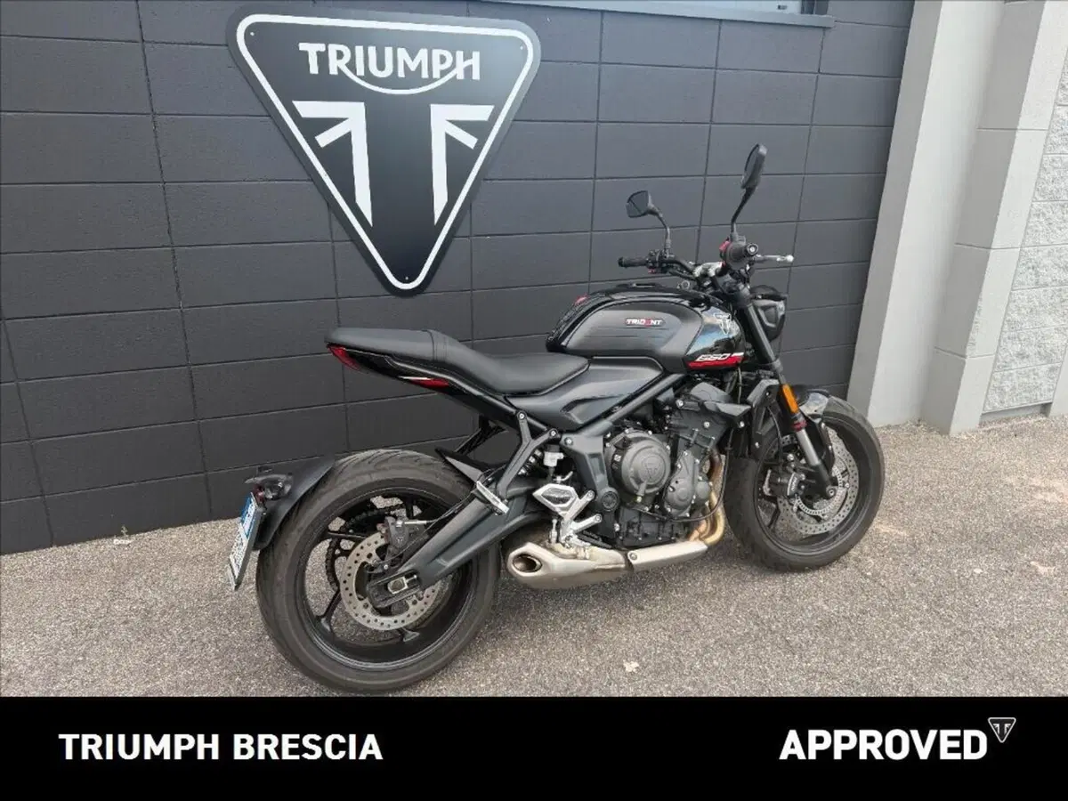 Triumph Trident 660 (2025) (5)