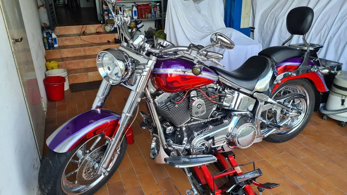 Harley-Davidson 1584 Fat Boy (2006 - 07) - FLSTF (4)
