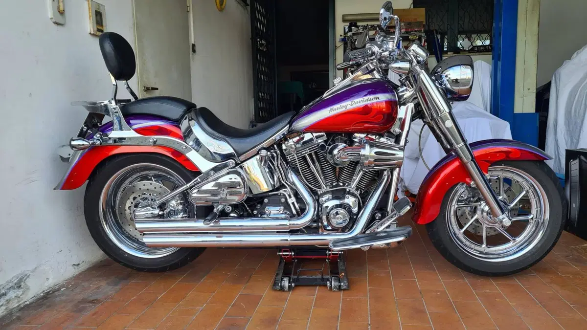 Harley-Davidson 1584 Fat Boy (2006 - 07) - FLSTF (9)