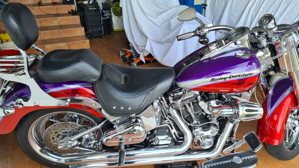 Harley-Davidson 1584 Fat Boy (2006 - 07) - FLSTF (10)