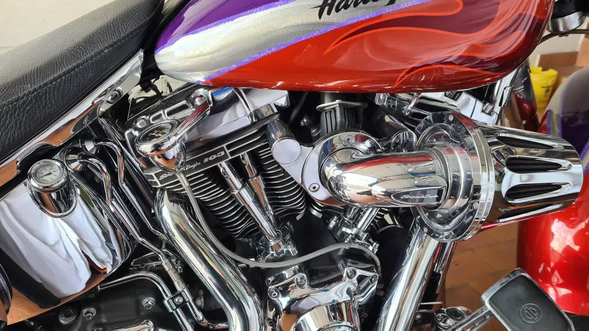 Harley-Davidson 1584 Fat Boy (2006 - 07) - FLSTF (12)