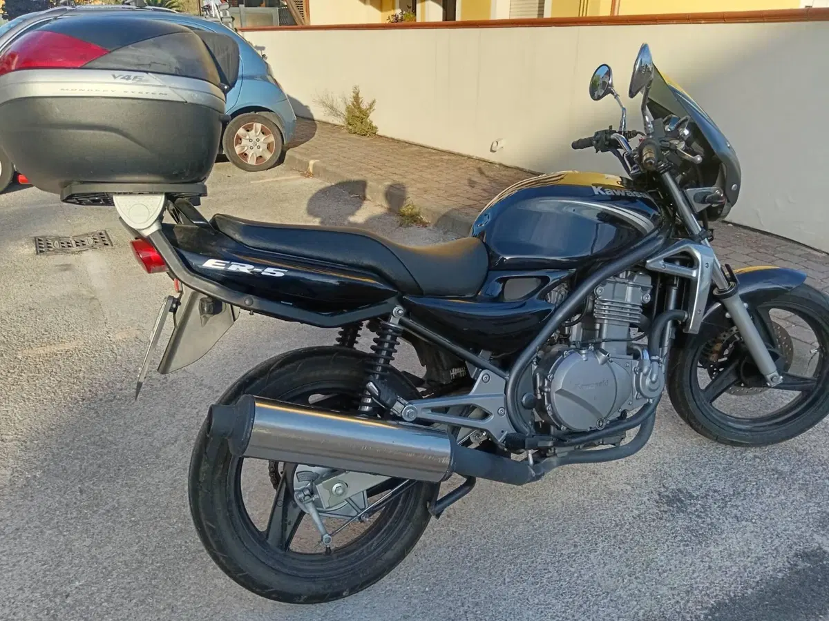 Kawasaki ER-5 500 (2001 - 06) (3)