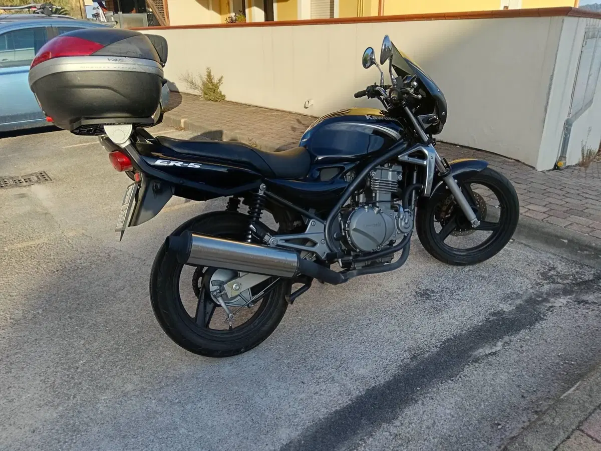 Kawasaki ER-5 500 (2001 - 06) (4)
