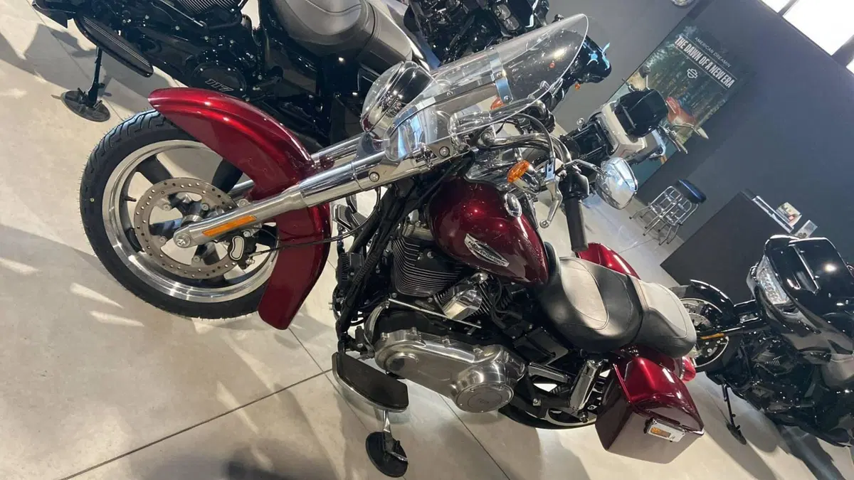 Harley-Davidson 1690 Switchback (2011 - 16) (7)