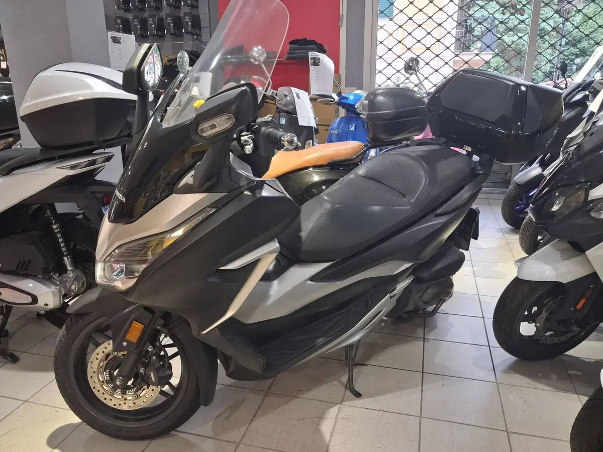 Honda Forza 300 ABS (2018 - 20) (7)