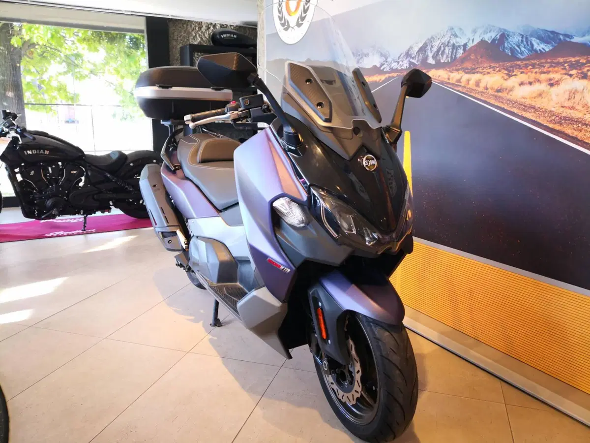 Sym Maxsym TL 508 (2021 - 24) (3)
