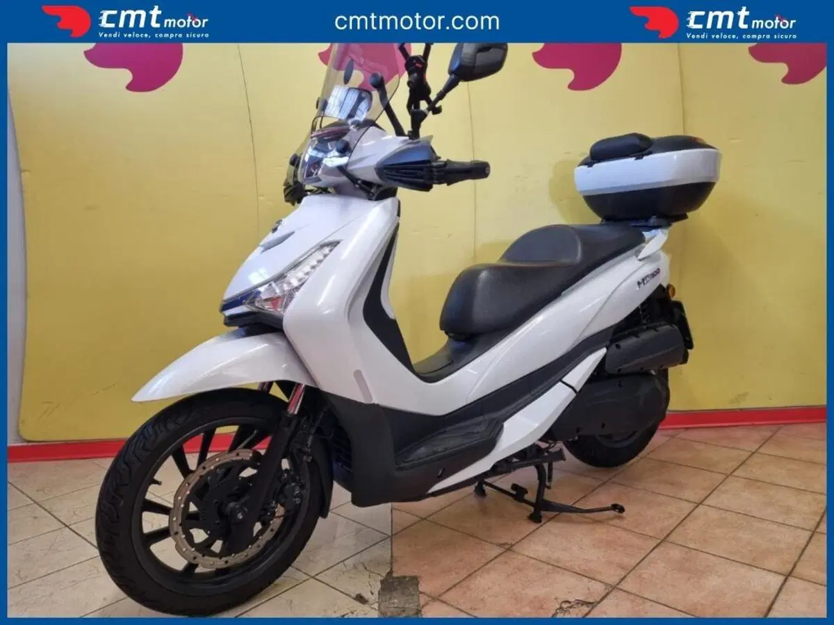 Sym HD 300 (2019 - 20) (2)