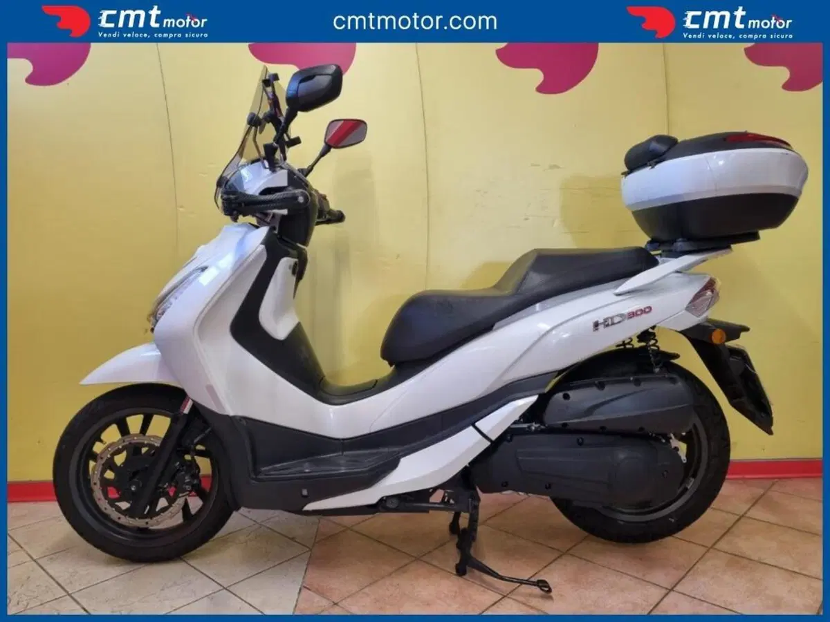 Sym HD 300 (2019 - 20) (4)
