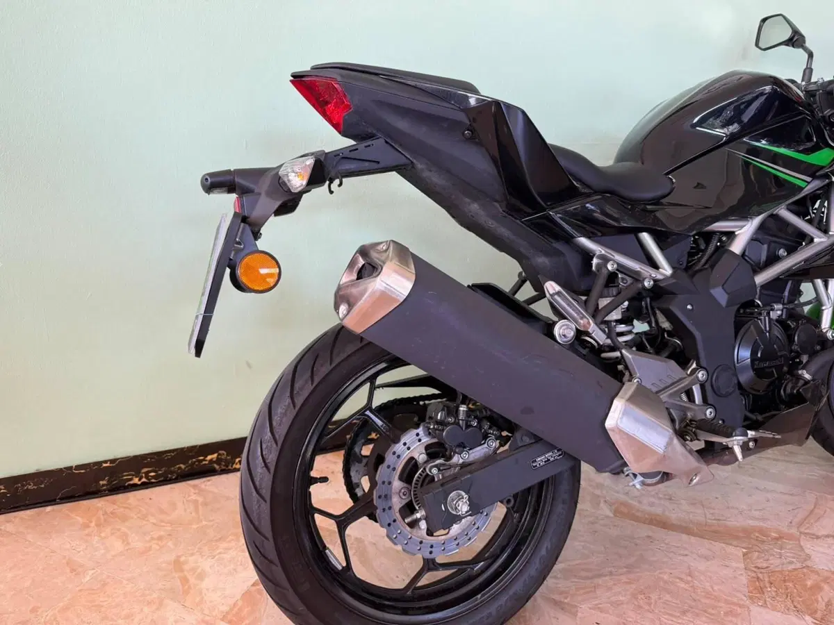 Kawasaki Z 125 (2021 - 24) (5)