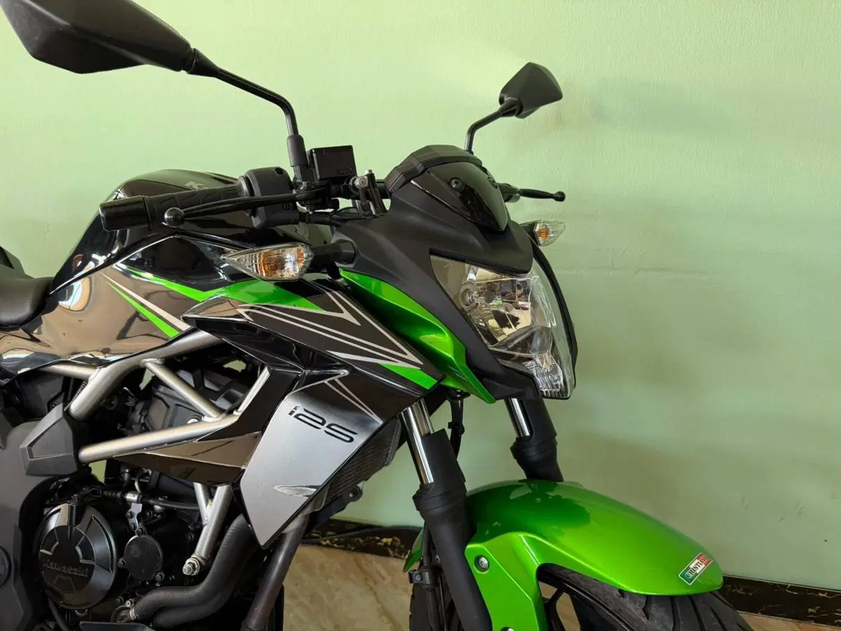 Kawasaki Z 125 (2021 - 24) (7)