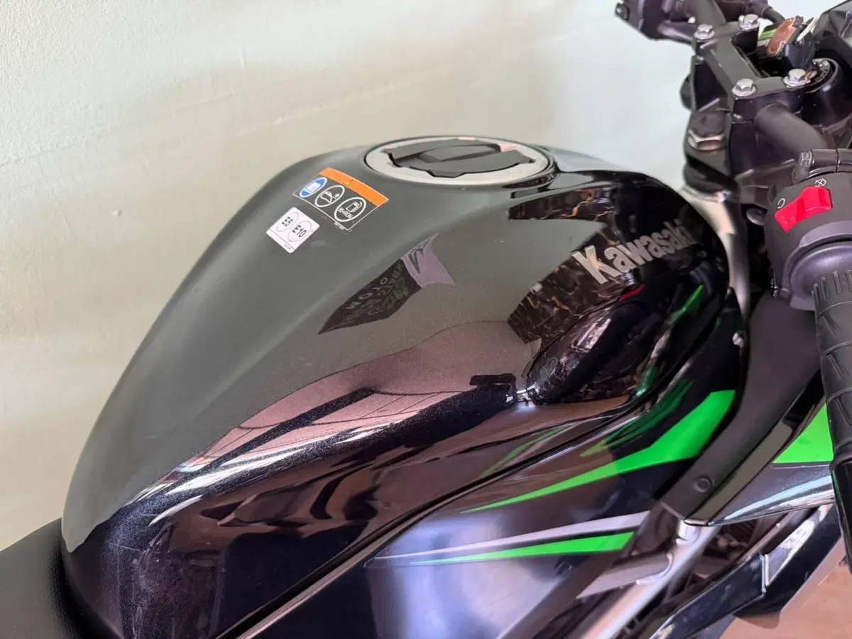 Kawasaki Z 125 (2021 - 24) (10)