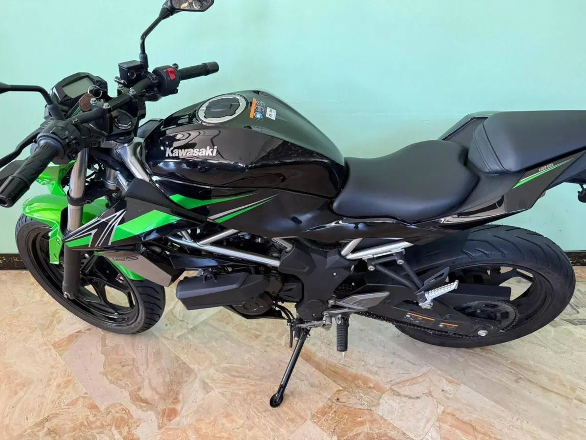 Kawasaki Z 125 (2021 - 24) (12)