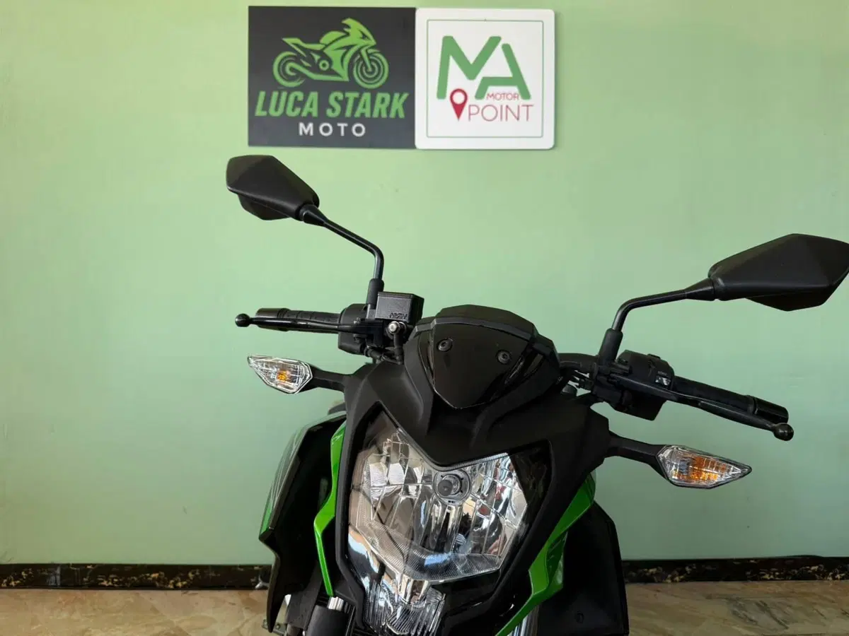 Kawasaki Z 125 (2021 - 24) (15)