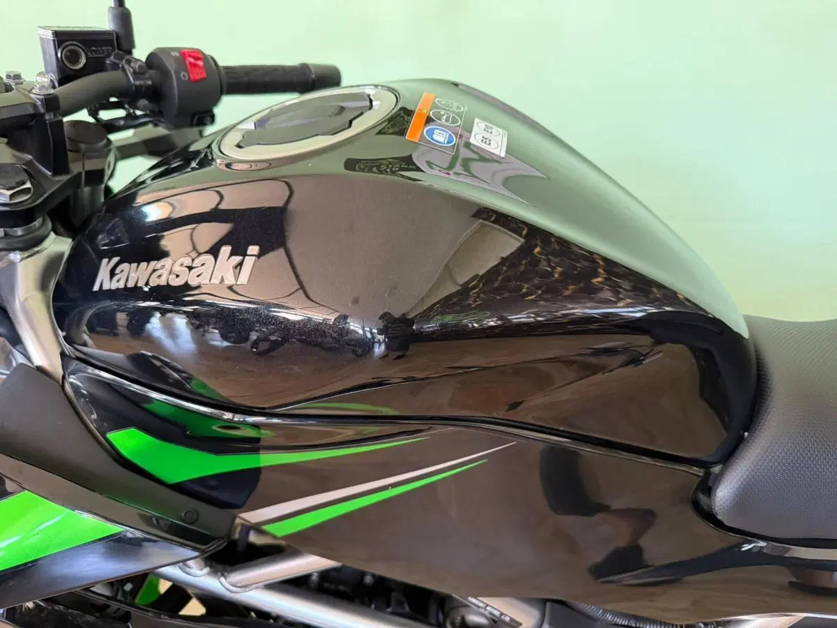 Kawasaki Z 125 (2021 - 24) (16)