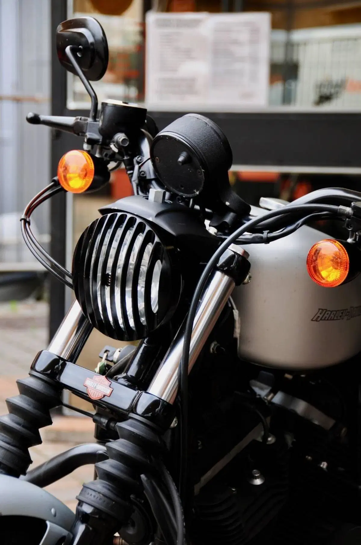 Harley-Davidson 883 Iron (2009 - 11) - XL 883N (7)