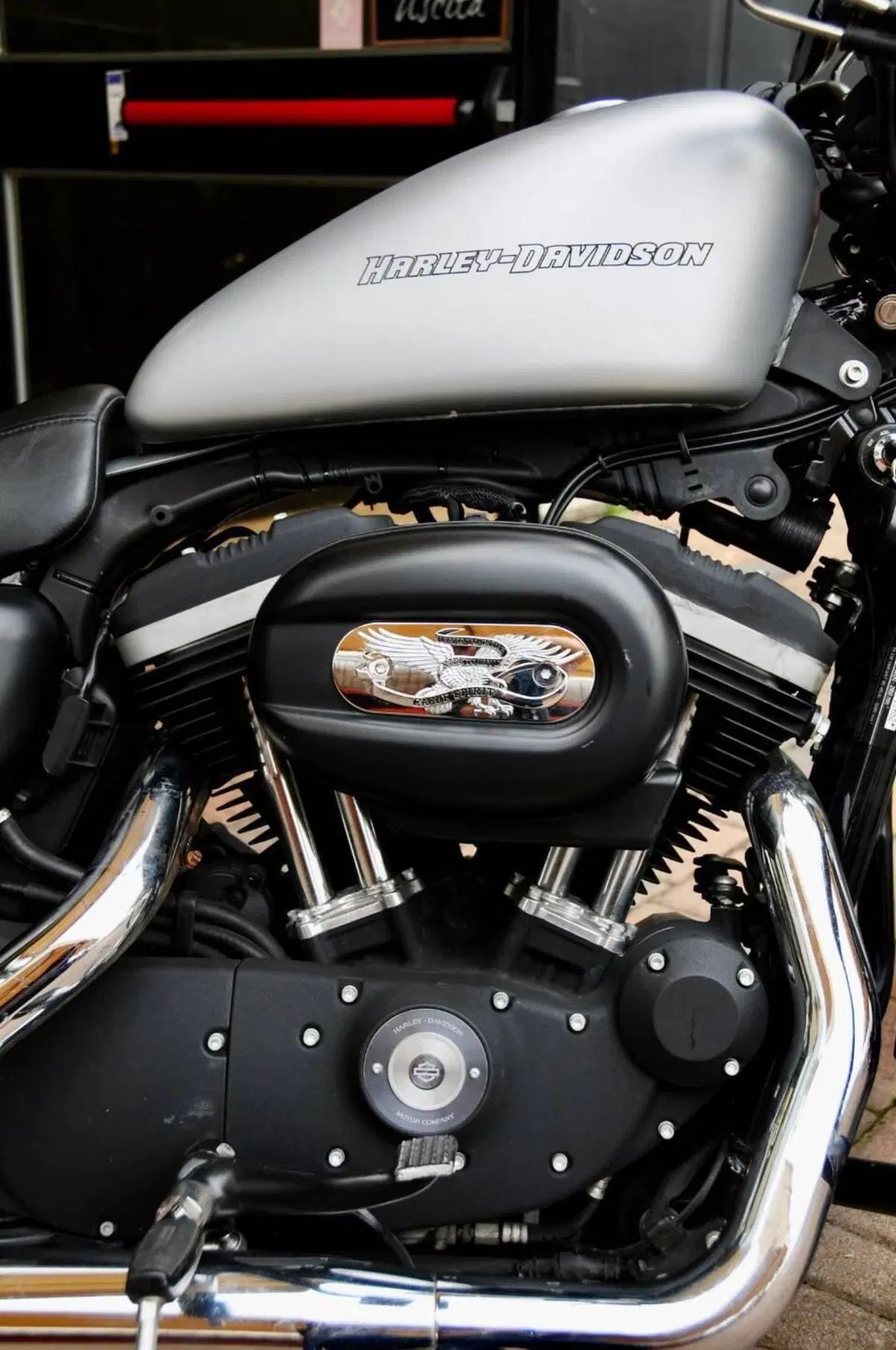 Harley-Davidson 883 Iron (2009 - 11) - XL 883N (8)