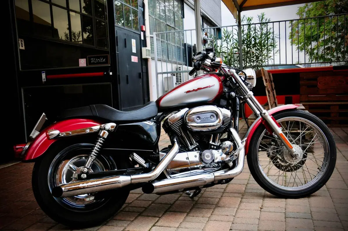Harley-Davidson 1200 Custom (2004 - 06) - XL 1200C (2)