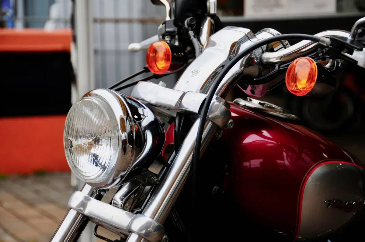 Harley-Davidson 1200 Custom (2004 - 06) - XL 1200C (6)