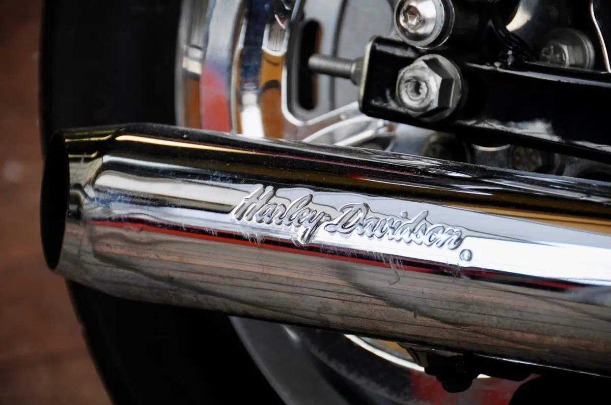 Harley-Davidson 1200 Custom (2004 - 06) - XL 1200C (8)