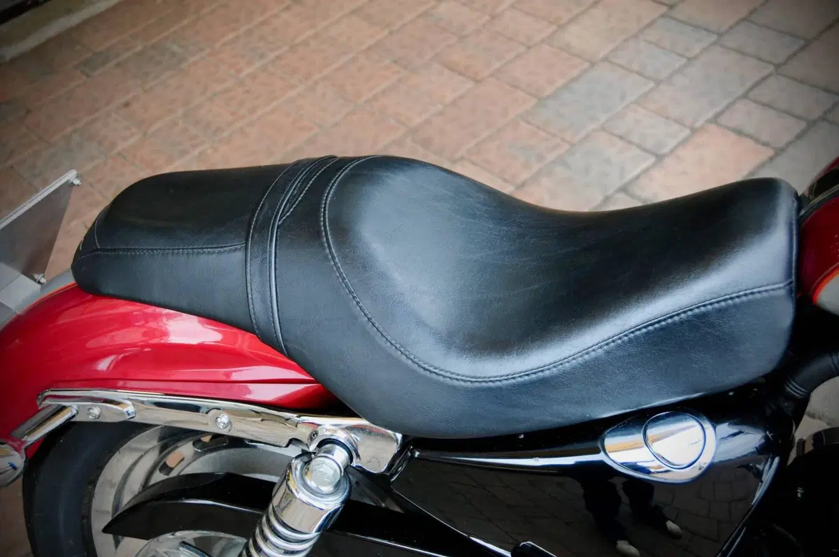 Harley-Davidson 1200 Custom (2004 - 06) - XL 1200C (9)