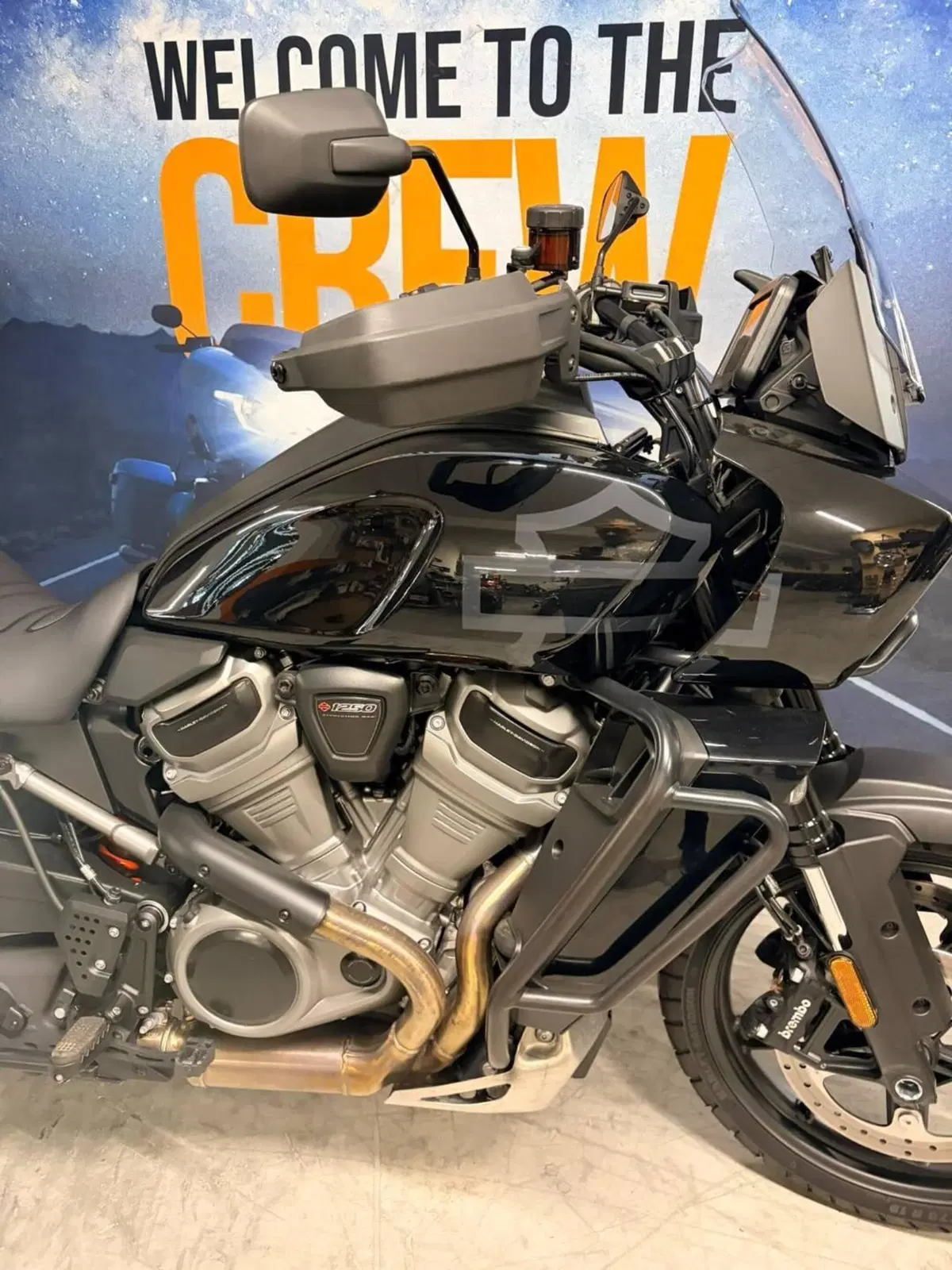Harley-Davidson Pan America 1250 Special (2020 - 25) (3)