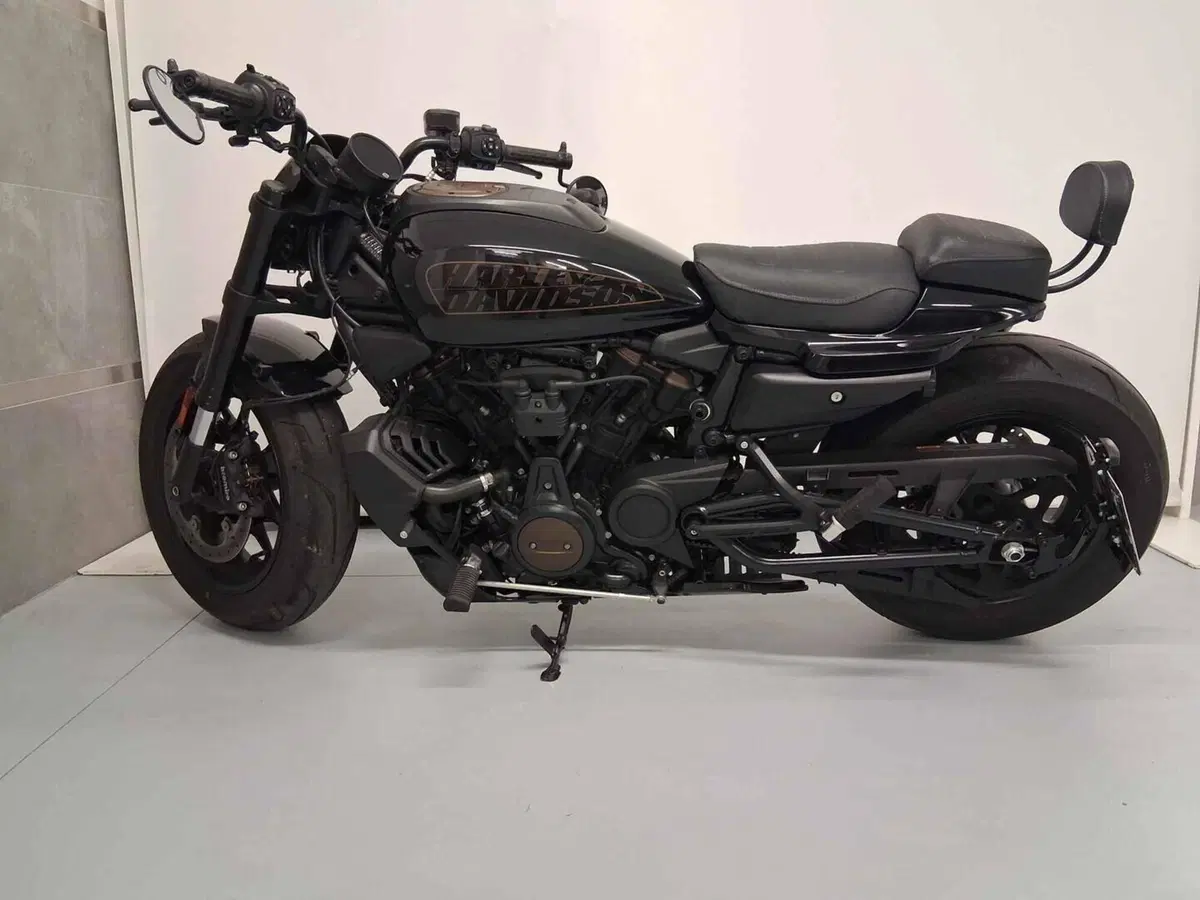 Harley-Davidson Sportster S (2022 - 24) (2)