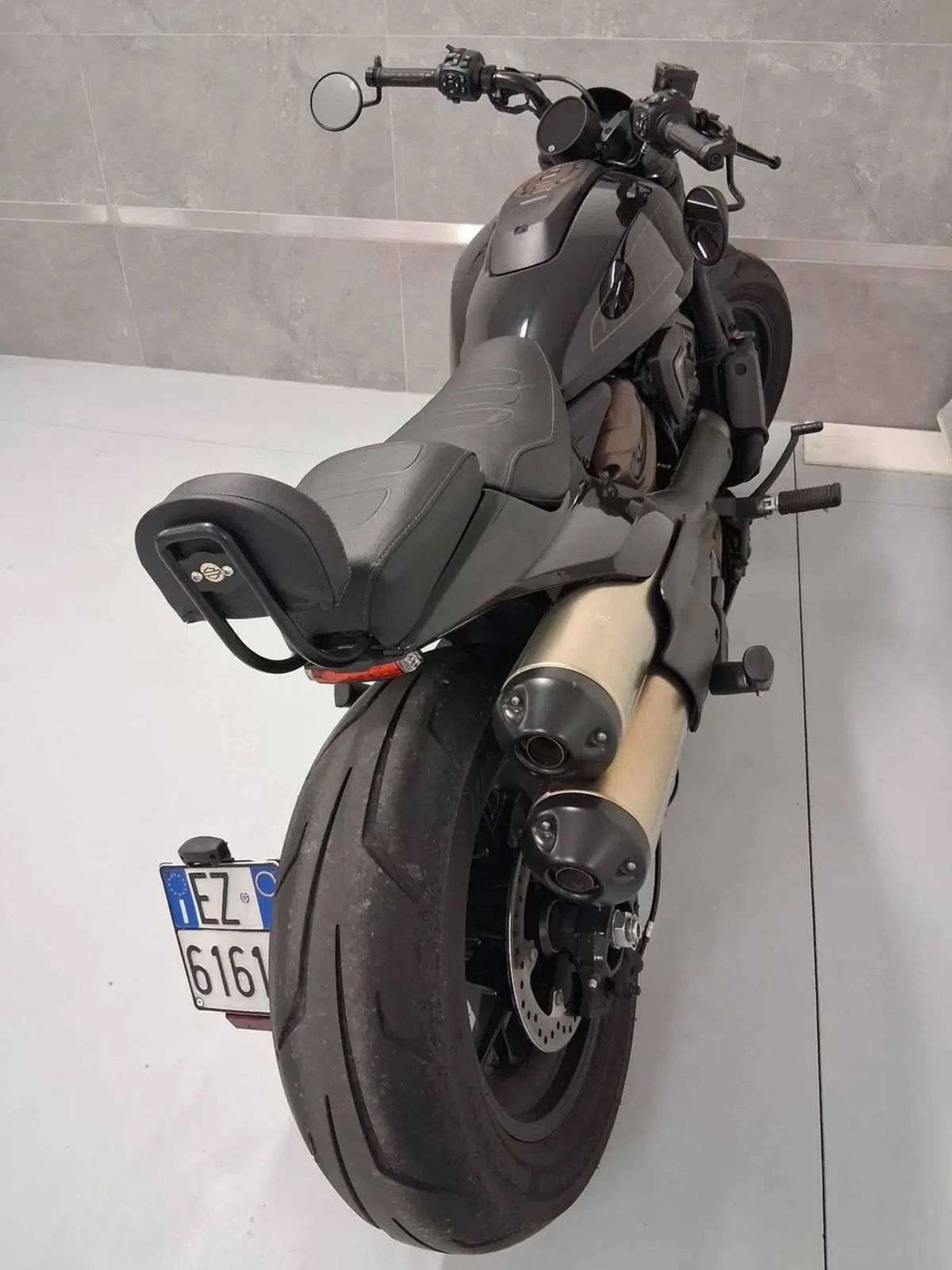 Harley-Davidson Sportster S (2022 - 24) (3)