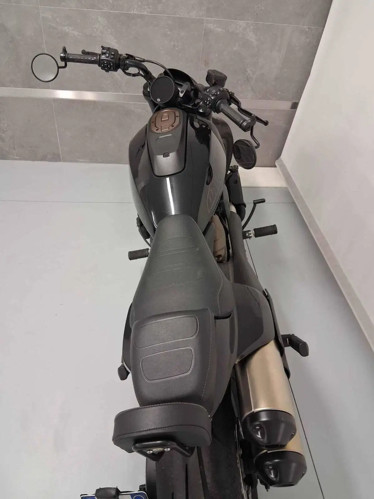 Harley-Davidson Sportster S (2022 - 24) (4)