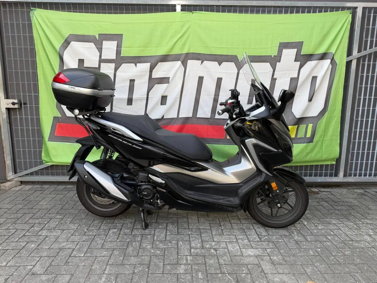 Honda Forza 350 (2022 - 24)