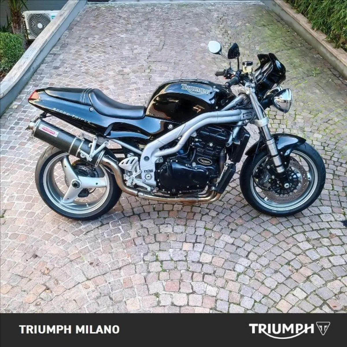 Triumph Speed Triple 1000 (1999 - 02)