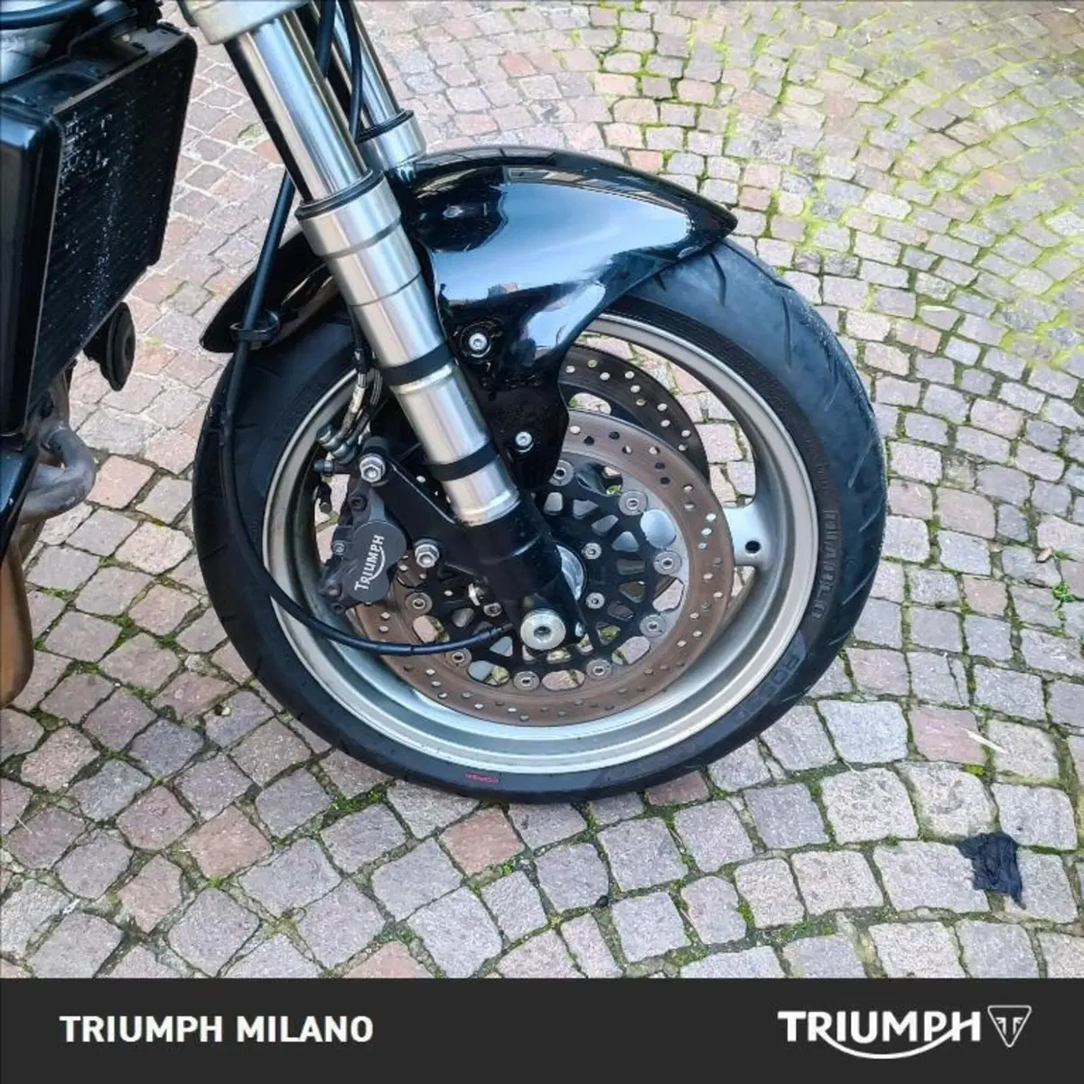Triumph Speed Triple 1000 (1999 - 02) (4)
