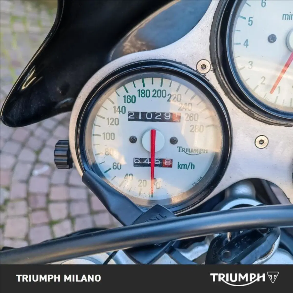 Triumph Speed Triple 1000 (1999 - 02) (5)