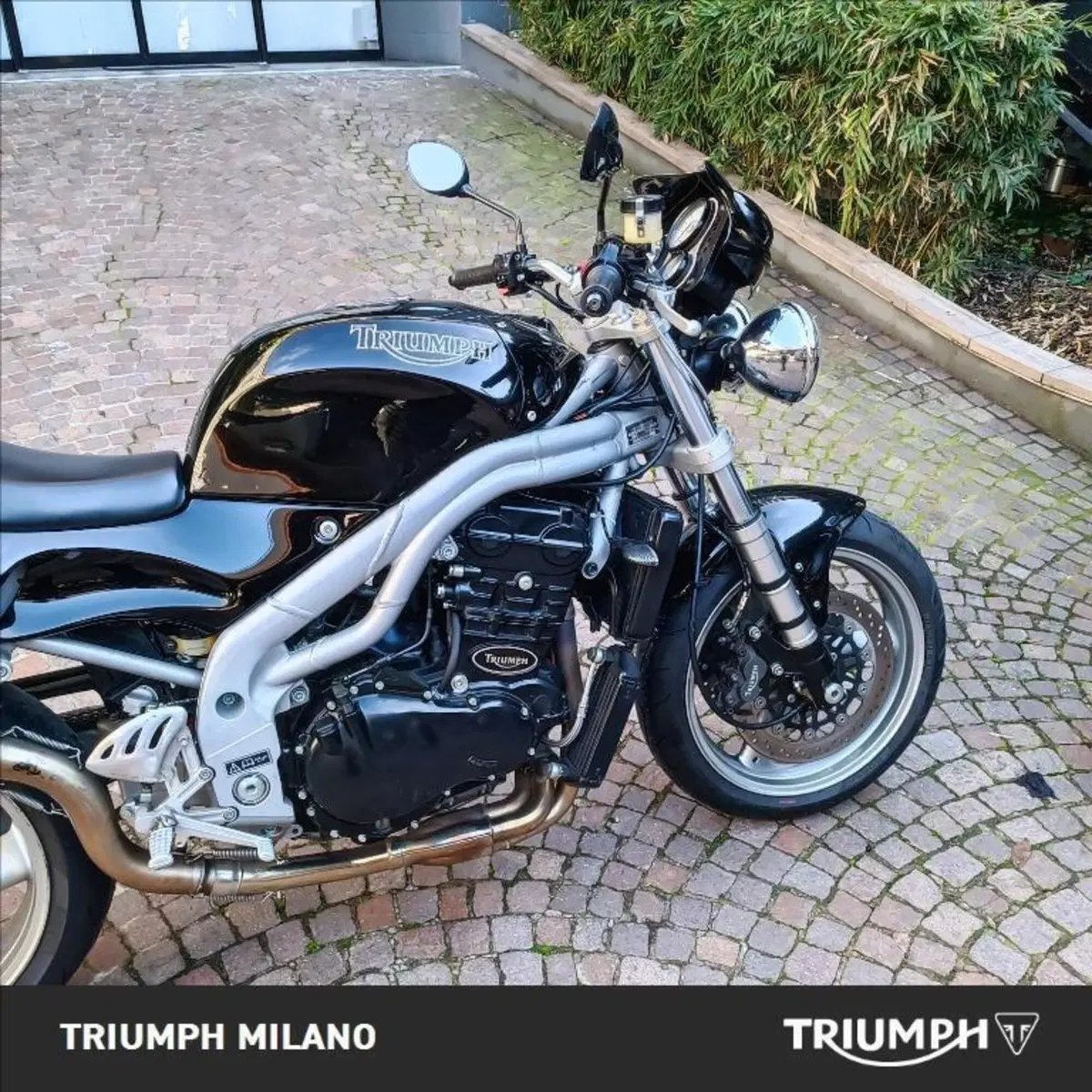 Triumph Speed Triple 1000 (1999 - 02) (3)