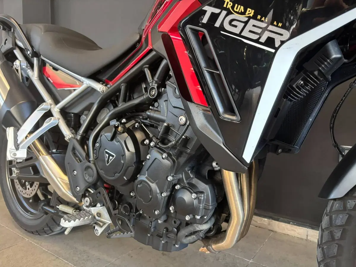 Triumph Tiger 900 GT Pro (2024 - 26) (6)