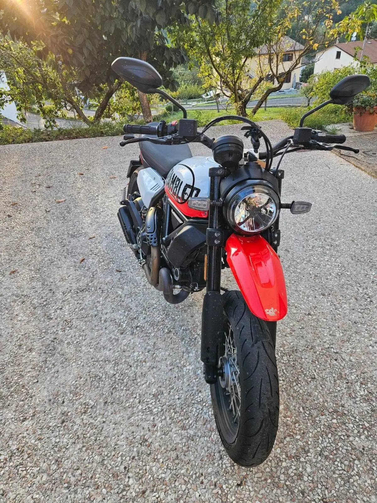 Ducati Scrambler 800 Urban Motard (2022) (5)