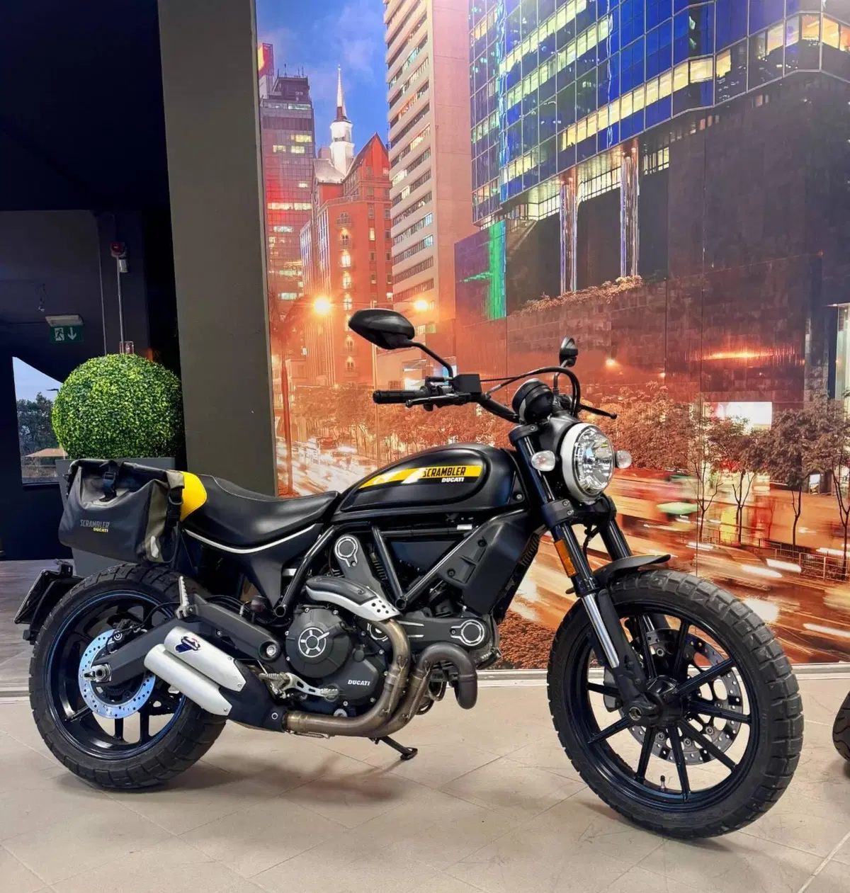 Ducati Scrambler 800 Icon (2017 - 20)