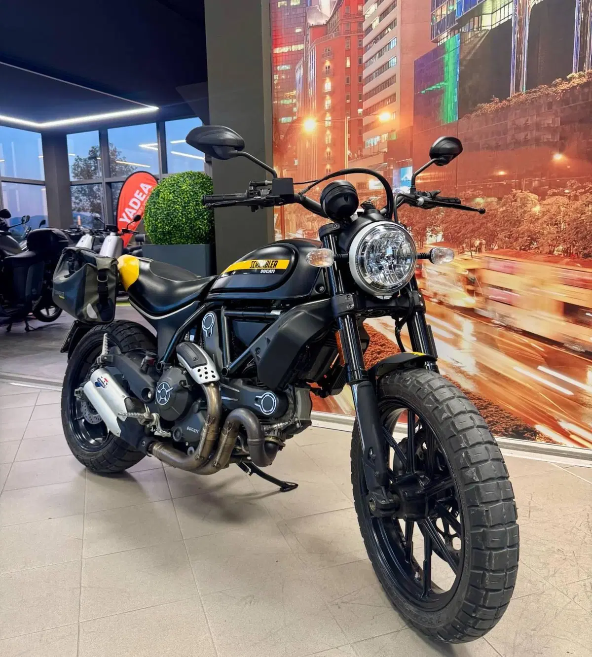 Ducati Scrambler 800 Icon (2017 - 20) (2)
