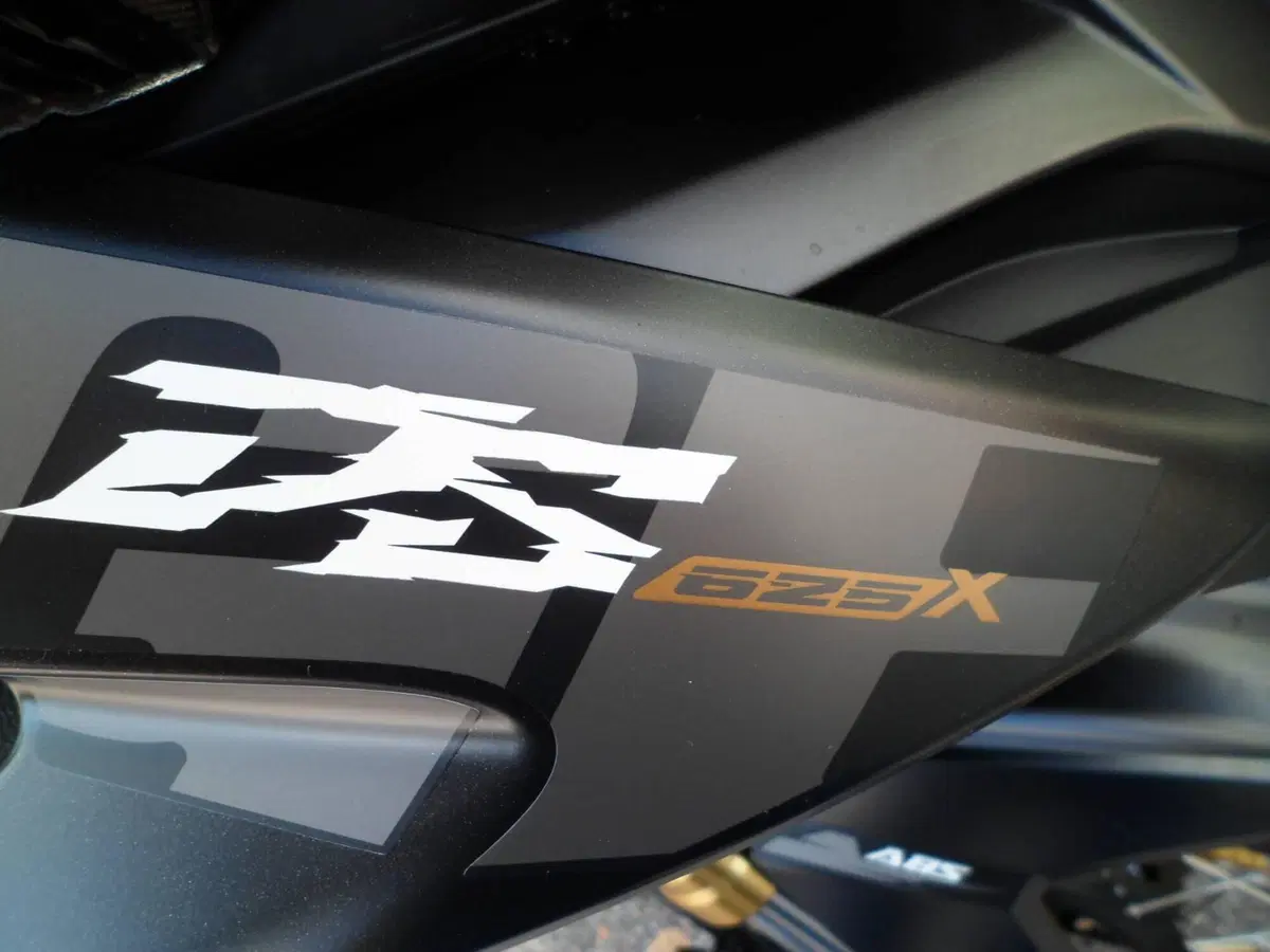 Voge Valico 625DSX (2025 - 26) (12)